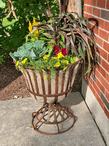 Wrought Iron Urns - Planters