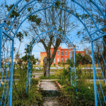 Wrought Iron X Arch Trellis - Flower Arbor