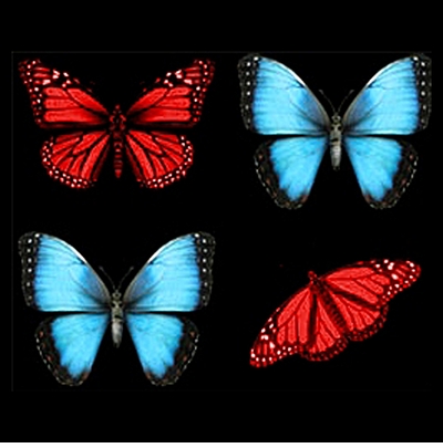 CLOSEOUT CLEARANCE! Puffy Blue & Red Butterflies Plus Size & Supersize T-Shirts 6XL