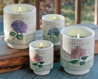 Botanical Hydrangea Collection