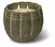 On the Dotted Line Large Round Pot On the Dotted Line Large Round Pot