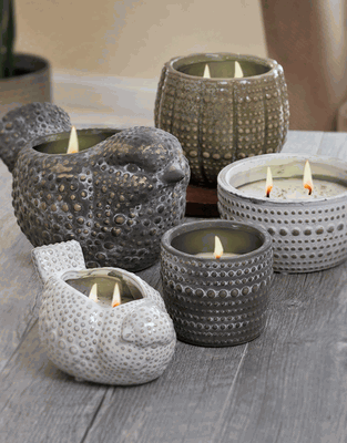 On the Dotted Line Pottery Collection