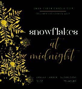 Snowflakes at Midnight*