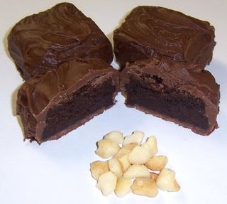 Milk Chocolate Covered Browine Bites with Macadamia Nuts in a 1 Pound Decorative Tray with Krinkle