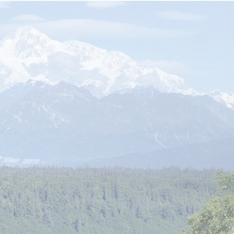 Alaska: Denali R 12 x 12 Paper