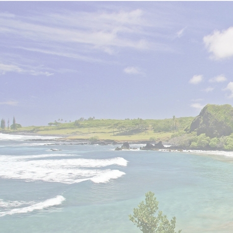 Aloha: Maui L 12 x 12 Paper