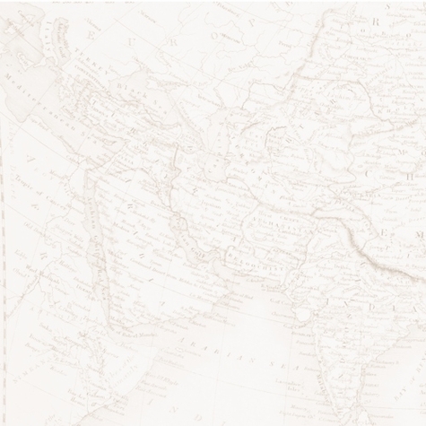 Asia: Asian Adventure L 12 x 12 Paper