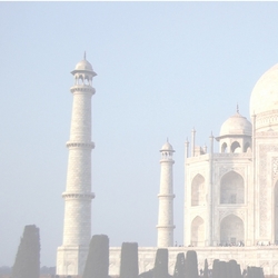 Asia: Taj Mahal L 12 x 12 Paper