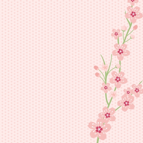 Cherry Blossom: Cherry Blossom Season 12 x 12 Paper