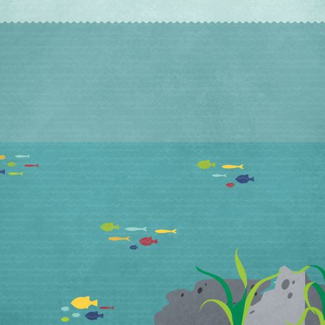 Fishing: Fish Tales 12 x 12 Paper