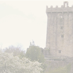 Ireland: Blarney Castle L  12 x 12 Paper