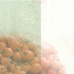 Italy: A Taste Of L 12 x 12 Paper