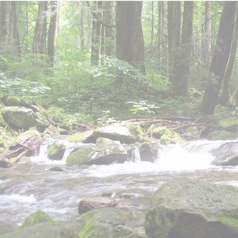 National Parks: Great Smoky L 12 x 12 Paper