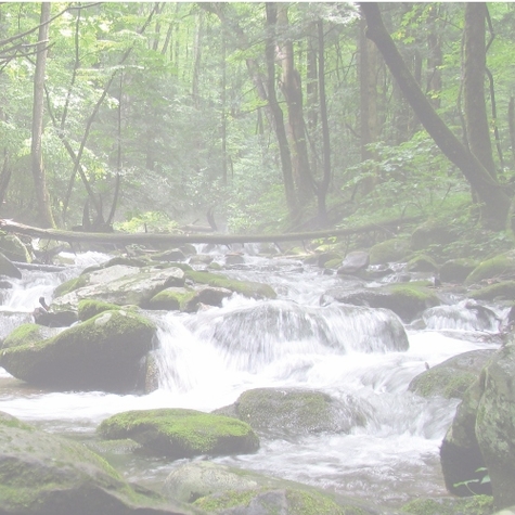 National Parks: Great Smoky R 12 x 12 Paper