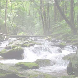 National Parks: Great Smoky R 12 x 12 Paper