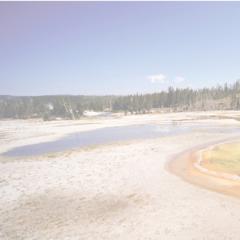 National Parks: Yellowstone L 12 x 12 Paper