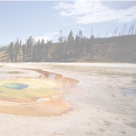 National Parks: Yellowstone R 12 x 12 Paper