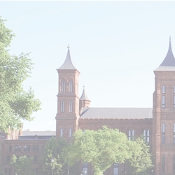 Washington DC: Smithsonian L 12 x 12 Paper
