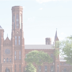Washington DC: Smithsonian R 12 x 12 Paper