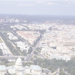 Washington DC: Washington D.C. R 12 x 12 Paper