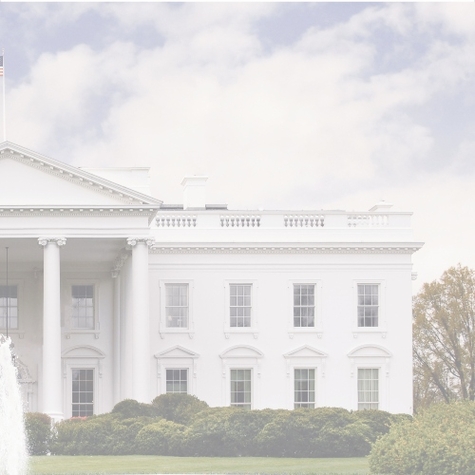 Washington DC: White House R 12 x 12 Paper