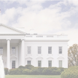 Washington DC: White House R 12 x 12 Paper