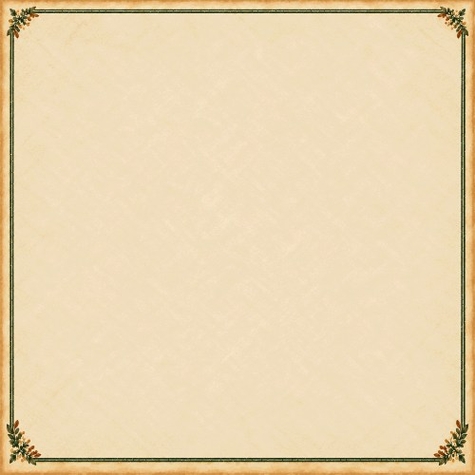 Wild Expedition Parchment Border 12 x 12 Paper