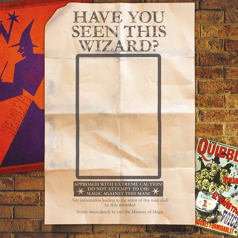 Wizarding World: Have You Seen This Wizard 12 x 12 Paper