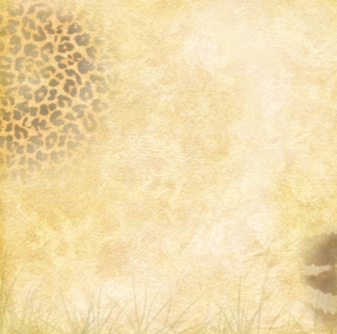 Zoo-fari: A Day At The Zoo L 12 x 12 Paper