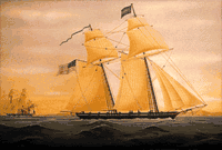 ALBATROSS
