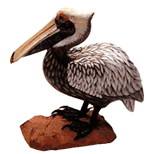 ANIMAL COLLECTIBLES