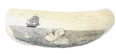 Antique Scrimshaw Whales Tooth