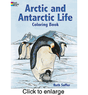 Arctic and Antarctic Life Coloring Book By: Ruth Soffer - click to enlarge