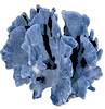 BLUE RIDGE CORAL 