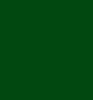 Bulwarks Dark Green  Model Shipways Acrylic Paint