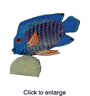 Coral Beauty Angelfish Tropical Wood Fish Collectible by Nature Crafts - click to enlarge