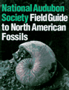 FOSSIL BOOKS