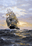 Golden Seas:  by Charles Vickery