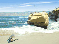 La Jolla Beach Notecard Set
