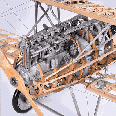 Albatros Front
