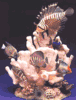 On Top of the World Fish Collectible by Nature Crafts