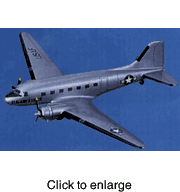 P - 47 B  Thunderbolt Model Airplane - click to enlarge