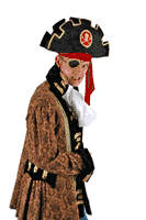 Pirate Hat Adult Arr Matey
