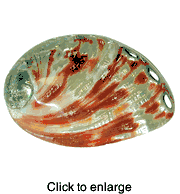 Polished Pink Abalone Shell 7" - 8" - click to enlarge