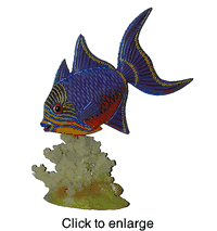 Queen Trigger Fish Collectible by Nature Crafts - click to enlarge