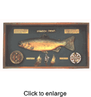 Rainbow Trout Shadow Box - click to enlarge