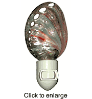 Red Abalone Night Light - click to enlarge