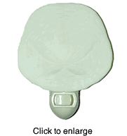 Sand Dollar  Night Light - click to enlarge