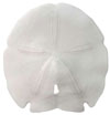 SAND DOLLARS