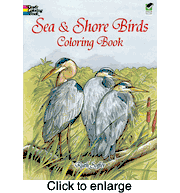 Sea and Shore Birds Coloring Book By: Ruth Soffer - click to enlarge